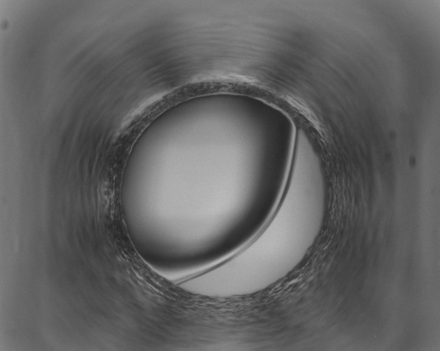 X0000086790872200704130852