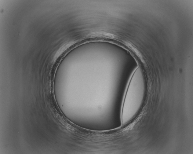 X0000086790877200704130852
