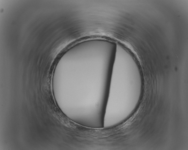 X0000086790879200704130852