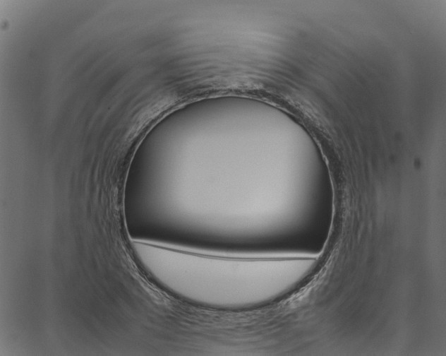 X0000086790881200704130852