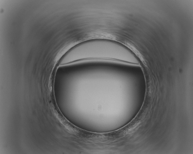 X0000086790885200704130852