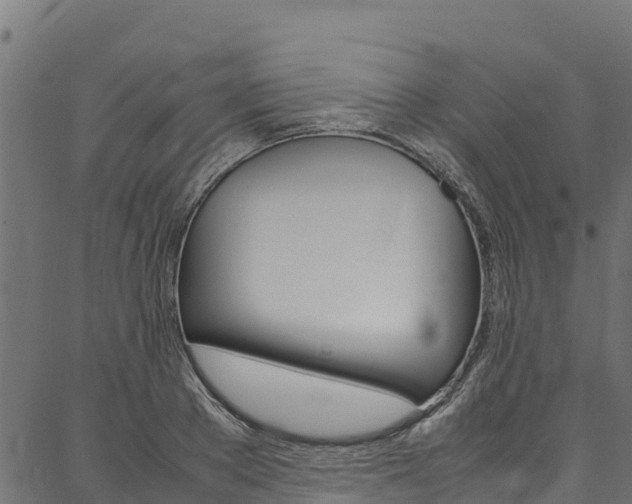 X0000086790889200704130852