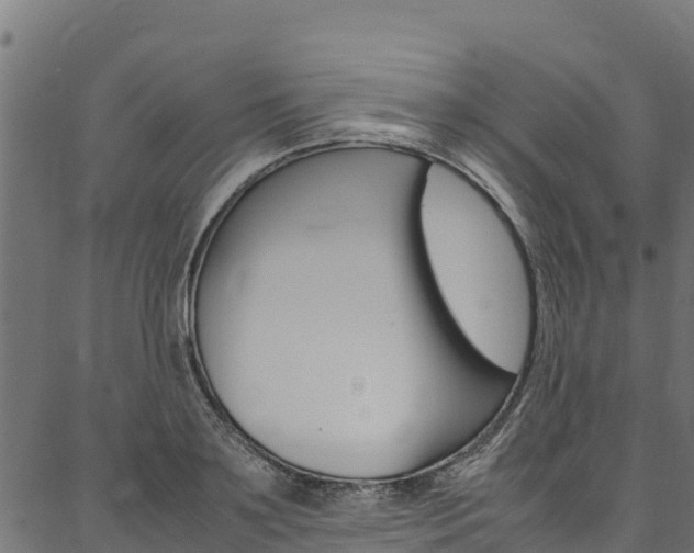 X0000086790891200704130851
