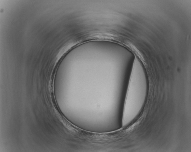 X0000086790893200704130851