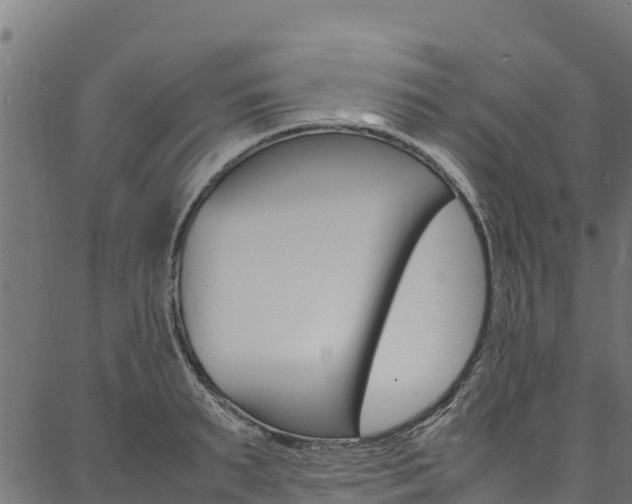 X0000086790895200704130851