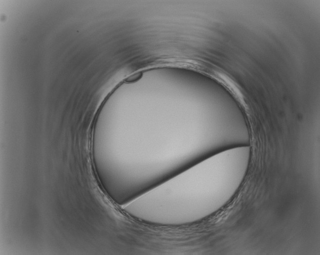 X0000086790907200704130851