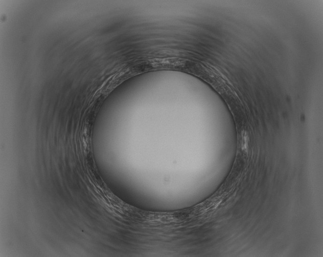 X0000086790915200704130850