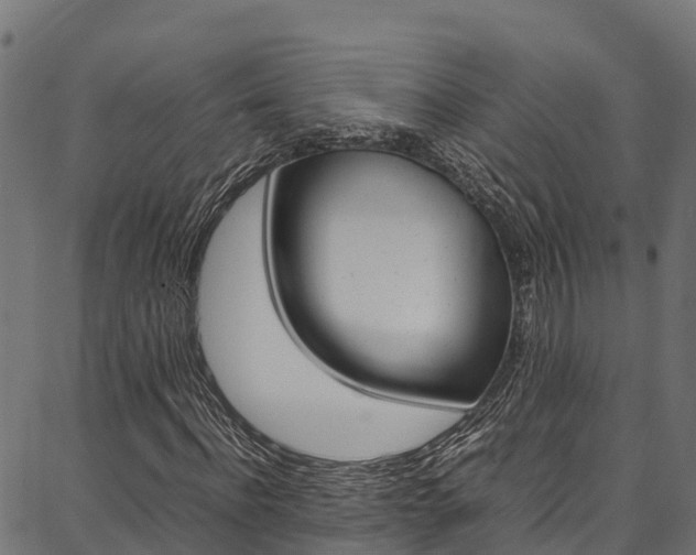 X0000086790916200704130850