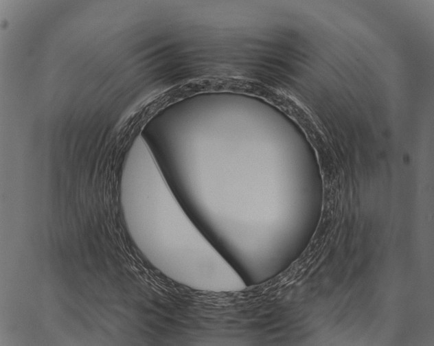 X0000086790919200704130850
