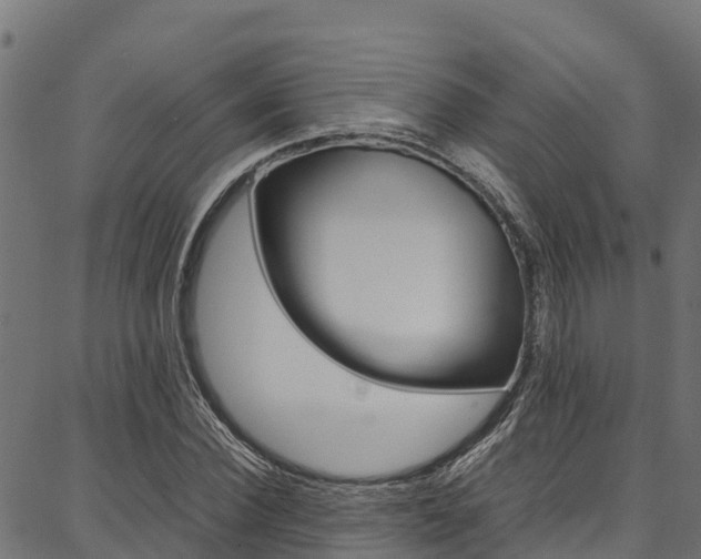 X0000086790924200704130851
