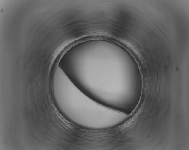 X0000086790927200704130851