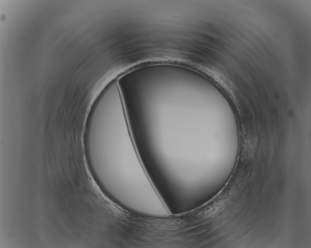 X0000086790943200704130851