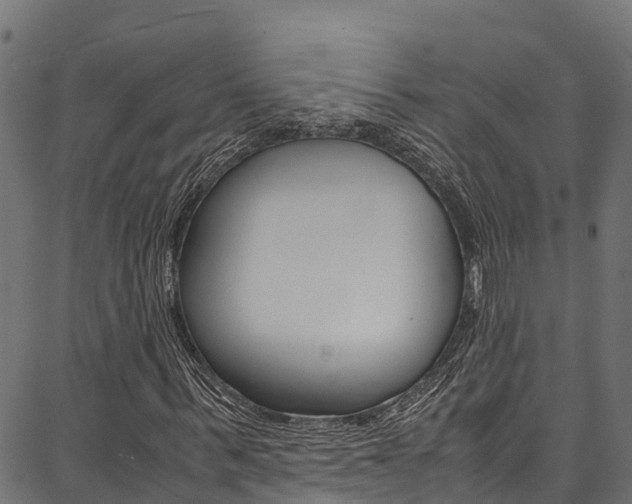 X0000086790963200704130850