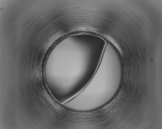 X0000086790972200704130850