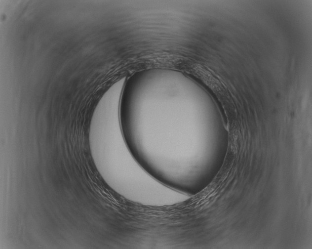X0000086791010200704130849