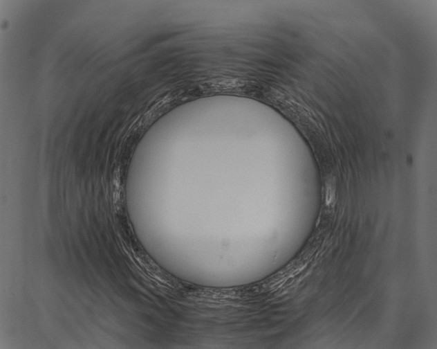 X0000086791011200704130849