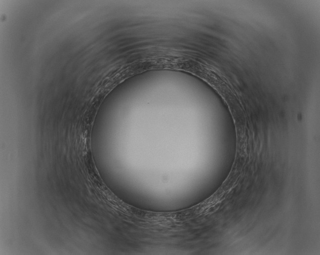X0000086791013200704130849