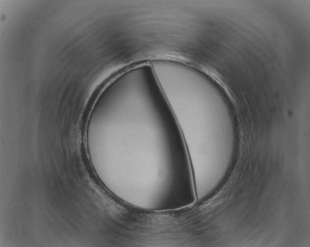 X0000086791024200704130849