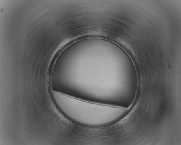 X0000086791029200704130849