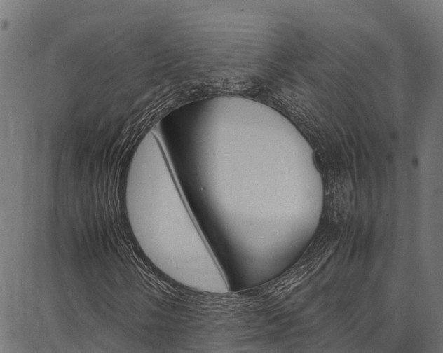X0000086791058200704130849