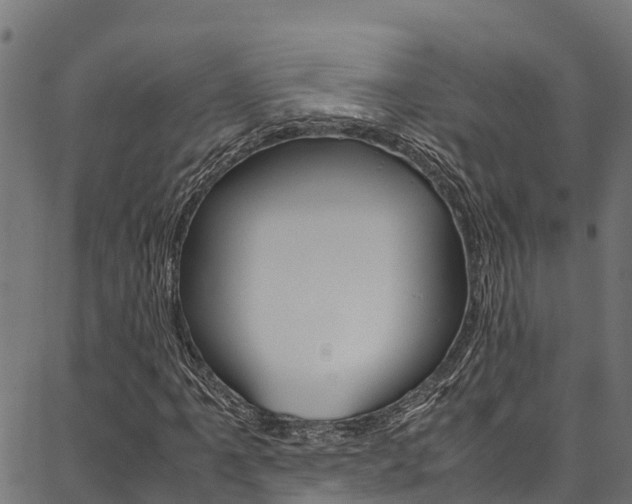 X0000086791061200704130849