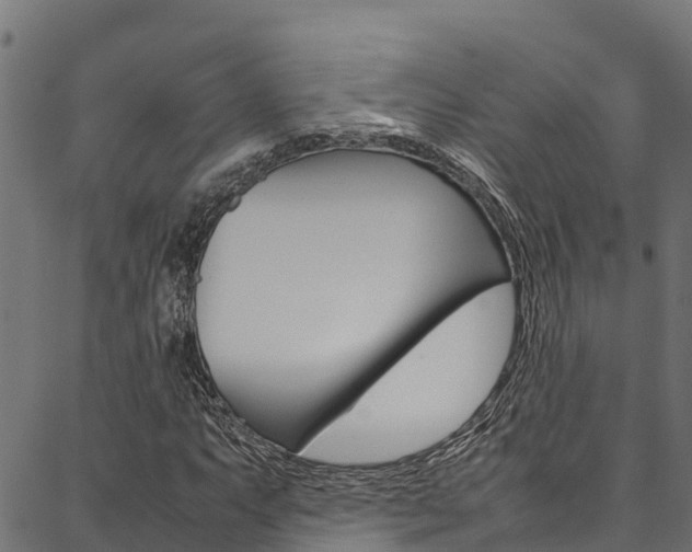 X0000086791063200704130849