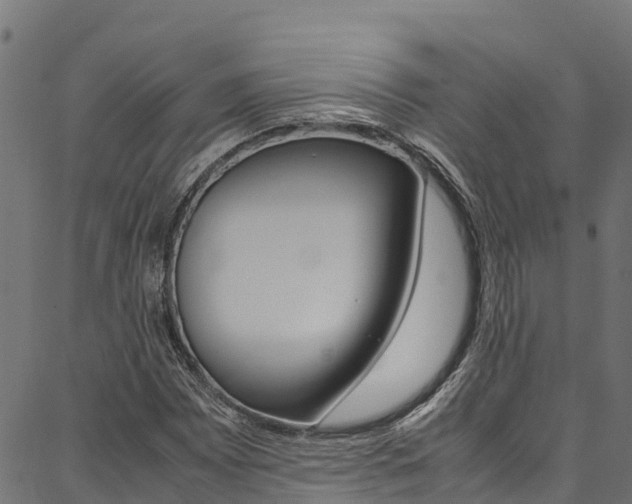 X0000086791065200704130849