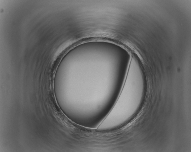 X0000086791069200704130849