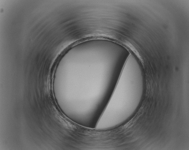 X0000086791076200704130848