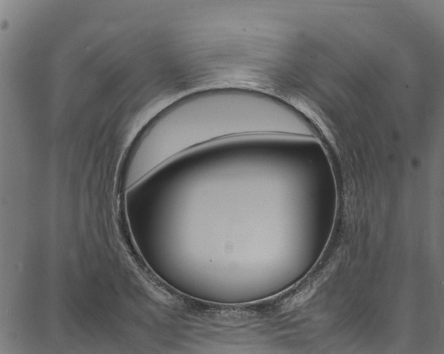 X0000086791077200704130848