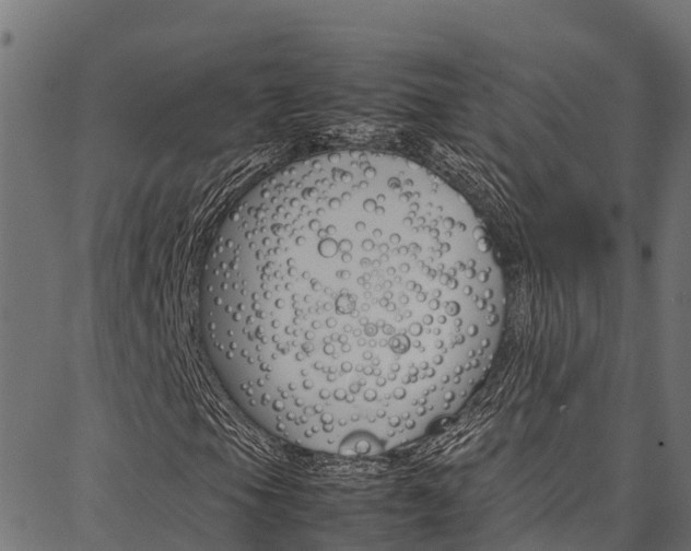 X0000086791105200704130847