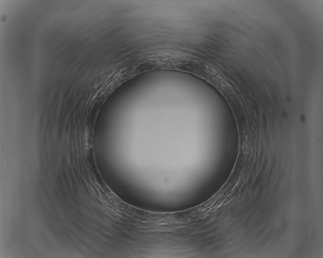 X0000086791108200704130847