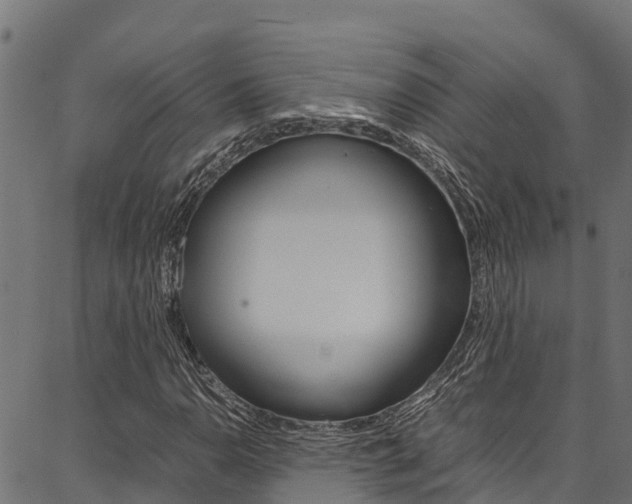 X0000086791110200704130847