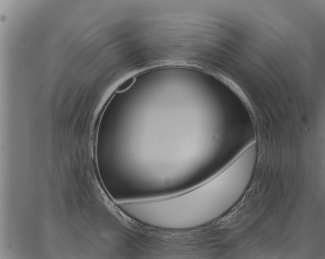 X0000086791148200704130848