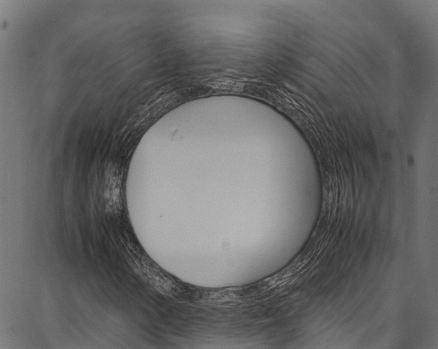 X0000086791154200704130847
