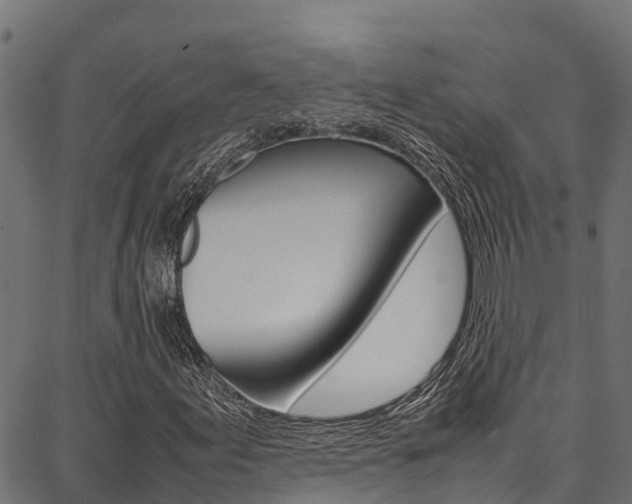 X0000086791155200704130847