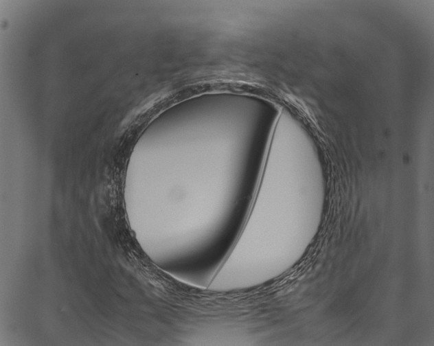 X0000086791159200704130847