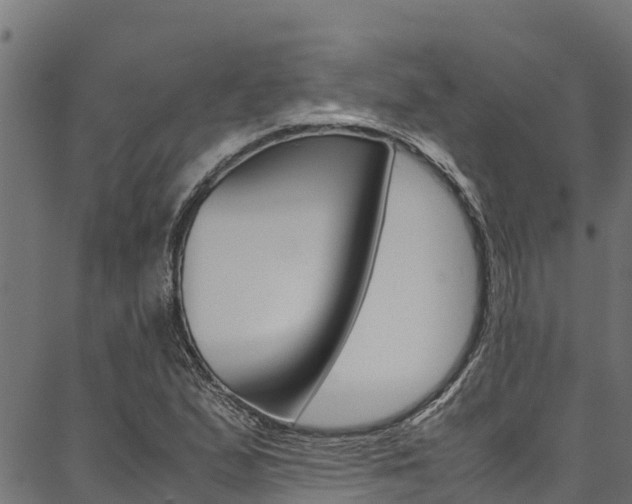 X0000086791167200704130847