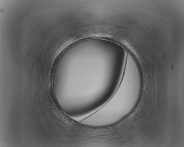 X0000086791173200704130847