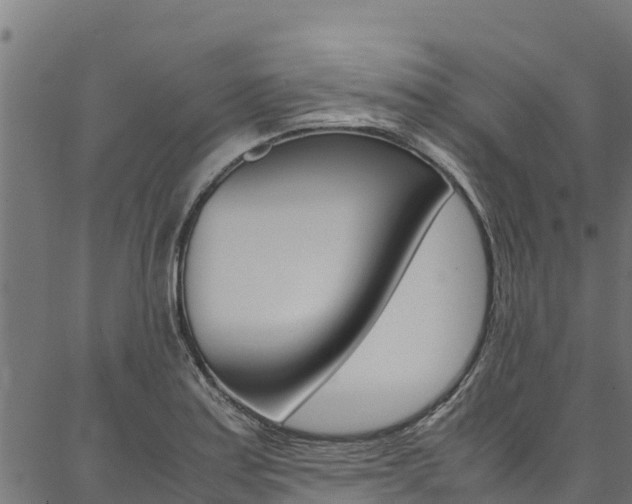 X0000086791179200704130847