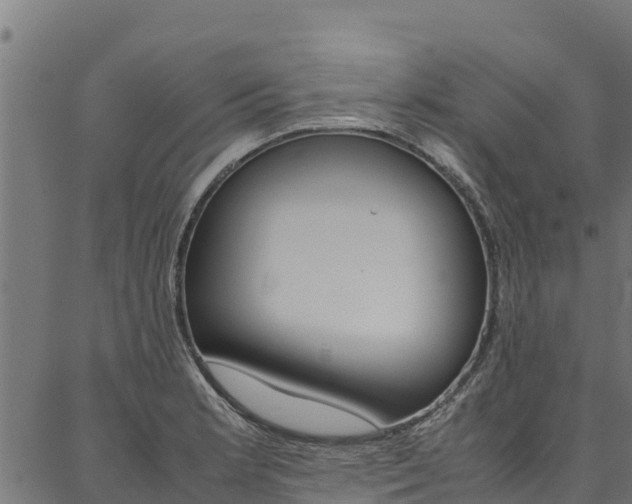 X0000086791181200704130847