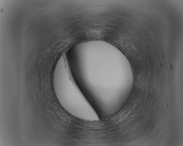 X0000086791201200704130846