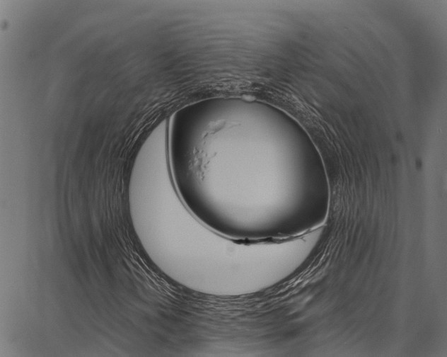 X0000086791202200704130846