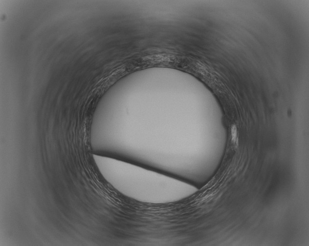 X0000086791203200704130846