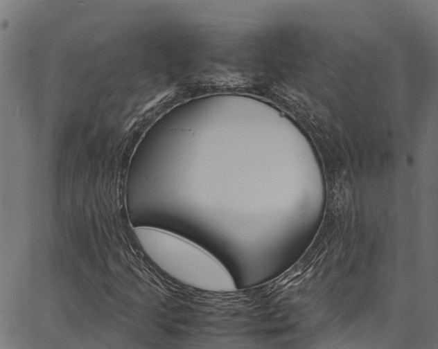 X0000086791205200704130846