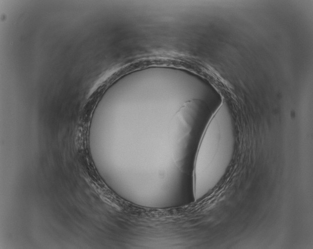 X0000086791208200704130846