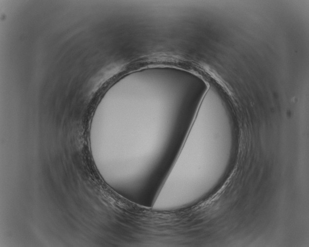 X0000086791213200704130846
