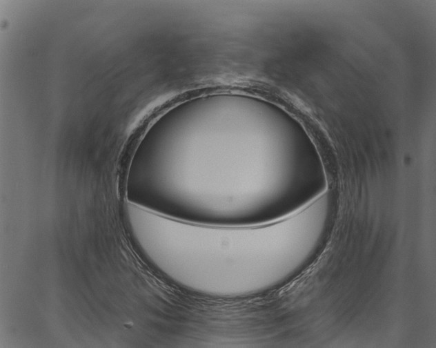 X0000086791214200704130846