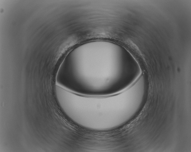 X0000086791218200704130846