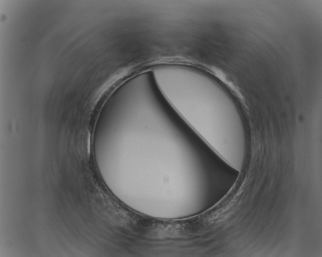 X0000086791221200704130846